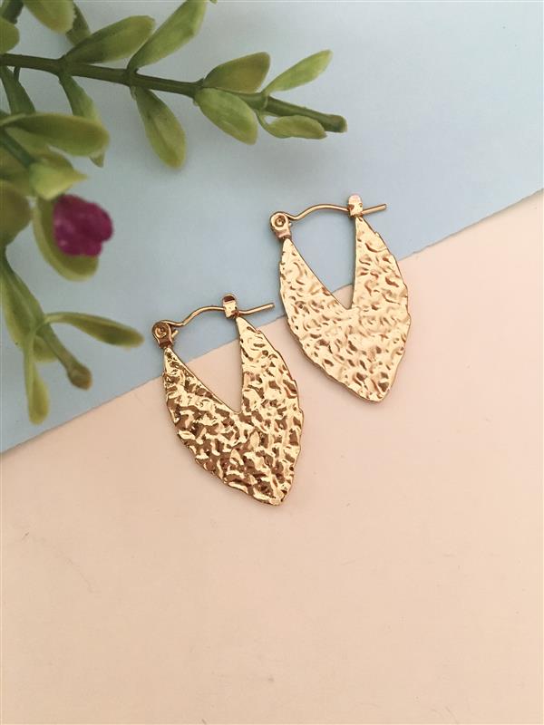 Golden Hoop Earrings